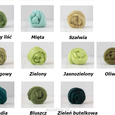 Zestaw wełny czesanki australijskiej 19mic ZIELONY 10 kolorów