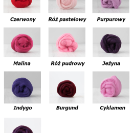 Zestaw wełny czesanki australijskiej 19mic Jagodowy 10 kolorów