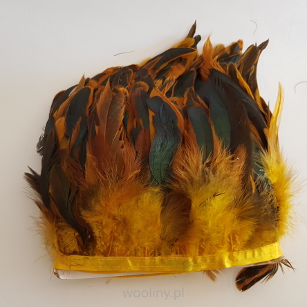 Pióra kogucie na taśmie 12-18cm żółto-złote rude z brązem