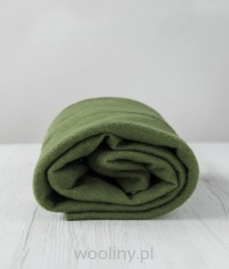 Filc igłowy prefilc wełniany do filcowania ZIELONA 19mic