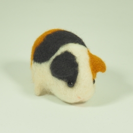 Świnka morska filcowa z wełny merynosów